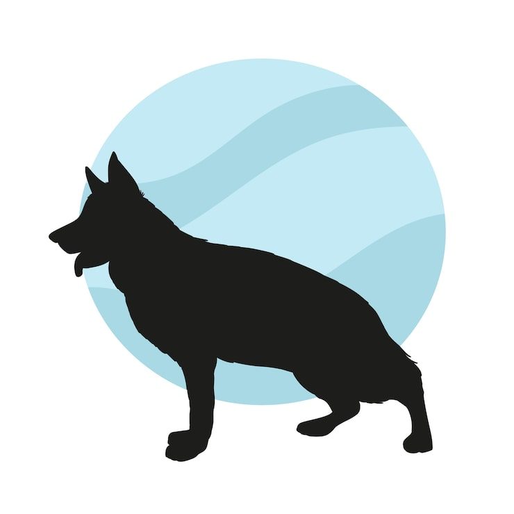 Hond van Hanne